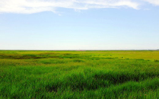 1471423 (a): :2560x1600